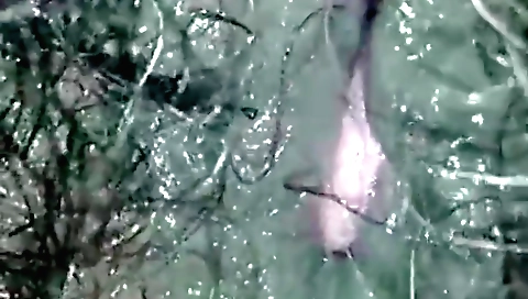 Indian girlfriend fingered by her bf in a sensual way