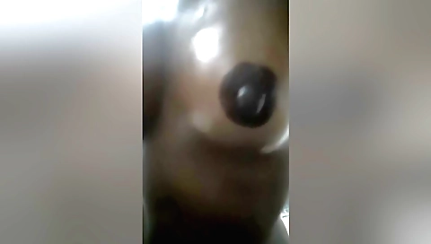 Indian girl with big boobs showing her big tits in a video